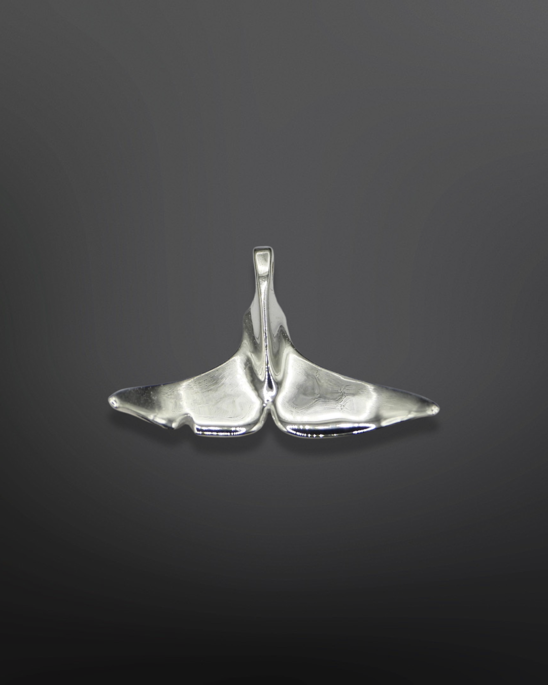 T65A2 Ooxjaa Fluke Silver Pendant — Orca Conservancy